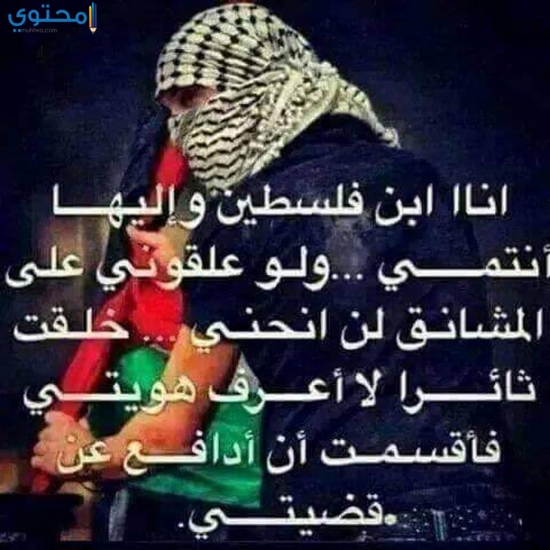 حكم عن فلسطين