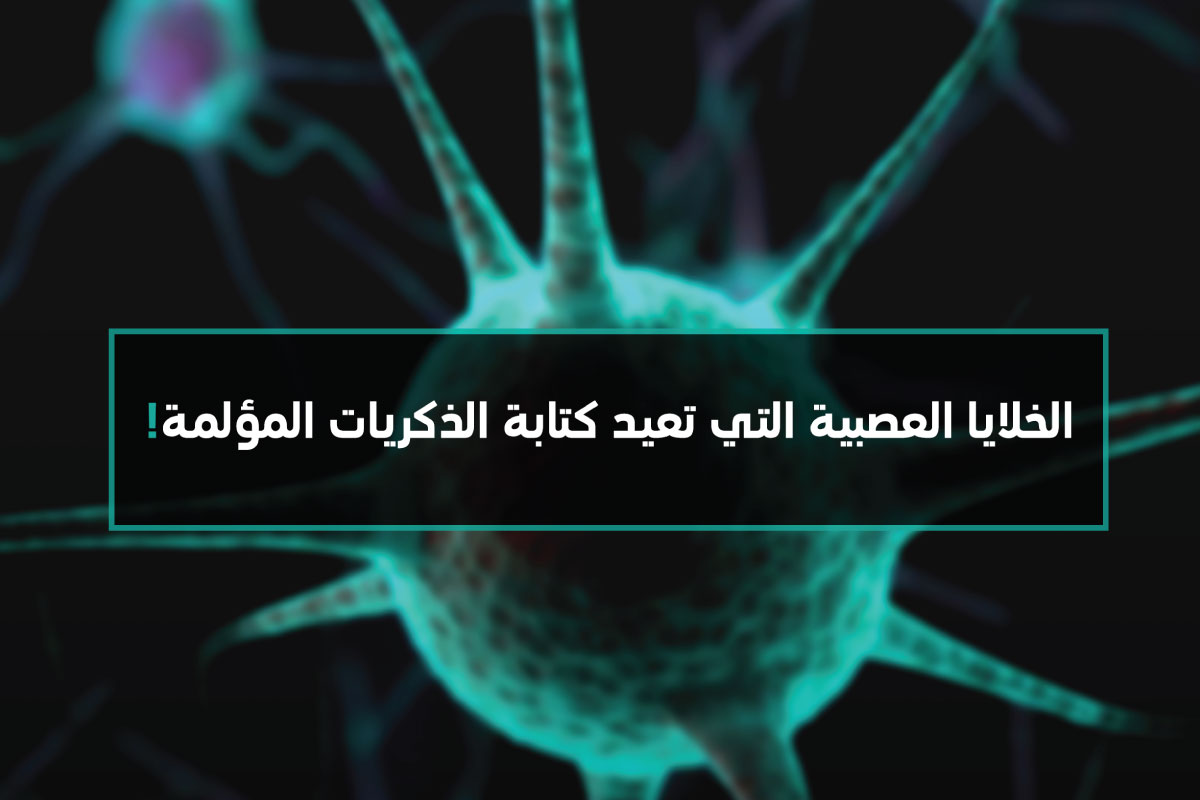 اجمل كلام عن الذكريات 2157 4