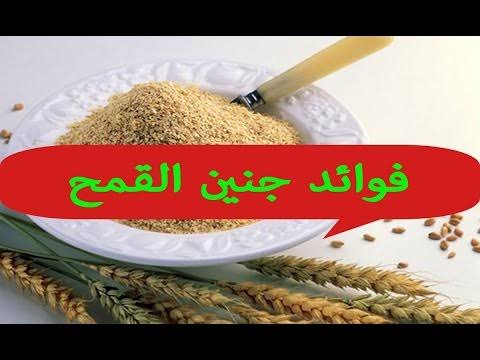 فوائد جنين القمح - لن تتوقعي كمية الفوائد الموجود فيه 2265