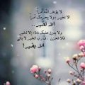 614 12 صور عبارات حلوه - كلمات لا يستوعبها الا العقلاء ريمان محمد